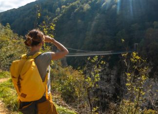 Activitati zilnice care ard calorii