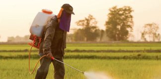Ce trebuie sa stim despre pesticide