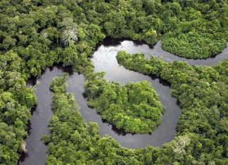 Experienta amazoniana