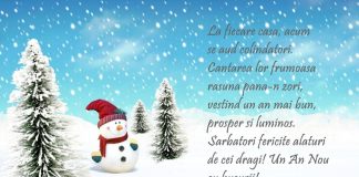 Mesaje de Anul Nou cu imagini