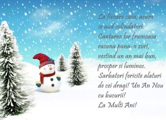 Mesaje de Anul Nou cu imagini