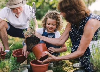 Gradinaritul durabil, prin plantarea copacilor