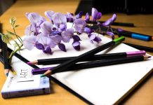 Hobby-uri utile cu care poti castiga bani in plus