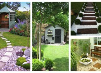 Amenajarea unei gradini mici