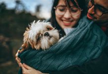 Nume de caini – Cele mai originale idei pentru catelul tau