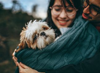 Nume de caini – Cele mai originale idei pentru catelul tau