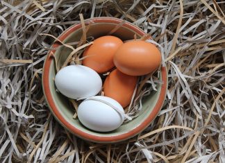Oul, sursa ta de sanatate