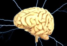 Cum sa-ti antrenezi si creierul, nu doar muschii in timpul antrenamentului?