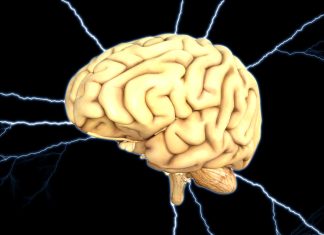 Cum sa-ti antrenezi si creierul, nu doar muschii in timpul antrenamentului?
