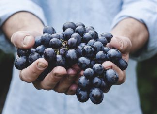 Strugurii, elixirul tineretii