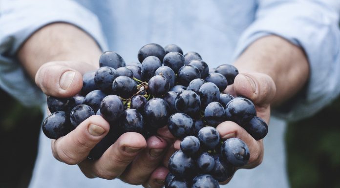 Strugurii, elixirul tineretii