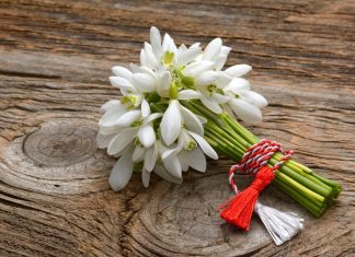 Traditii si simboluri de Martisor – Idei de martisoare facute acasa