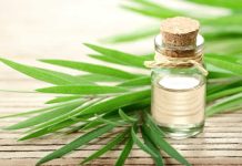 Uleiul de arbore de ceai, folosit cu succes in acnee