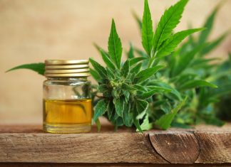 Ulei de canabis (CBD) – Pret, beneficii, efecte secundare
