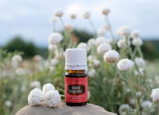 Beneficiile uleiului esential de musetel