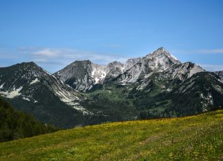 Vara in Alpii austrieci
