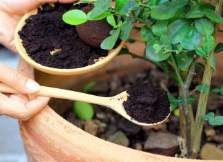 La ce putem folosi zatul de cafea