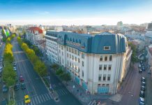 Afaceri cu potential de crestere in Bucuresti. Unde sa investesti in 2024